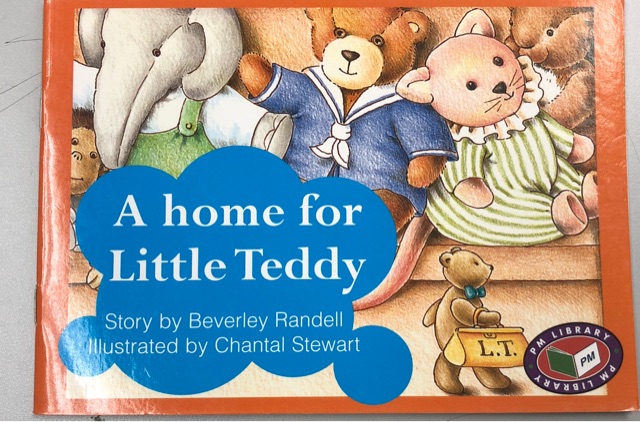 A Home for Little Teddy PM Red Set 3