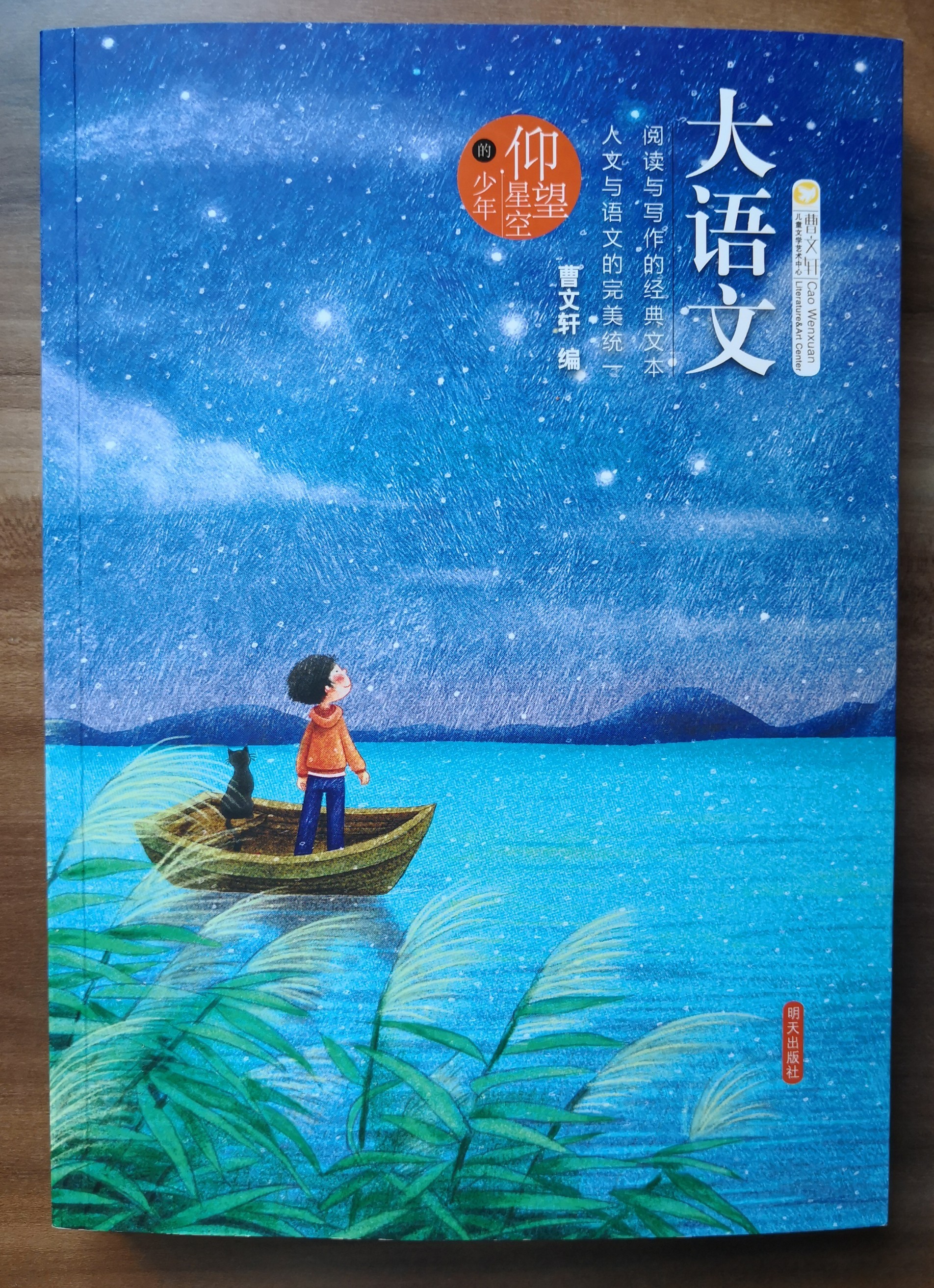仰望天空的少年