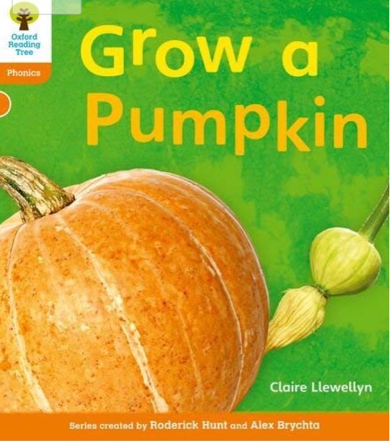 Oxford Reading Tree Level 6: Grow a pumpkin