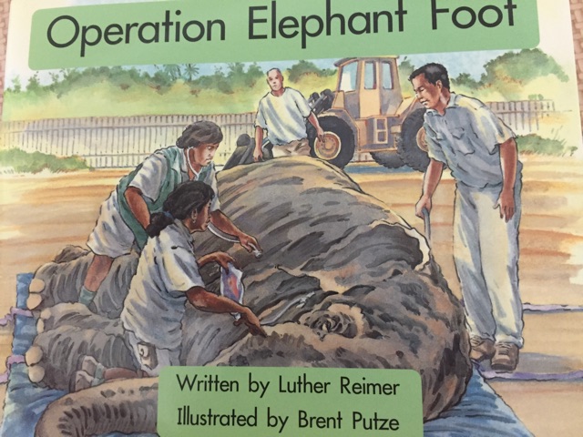 Operation Elephant Foot
