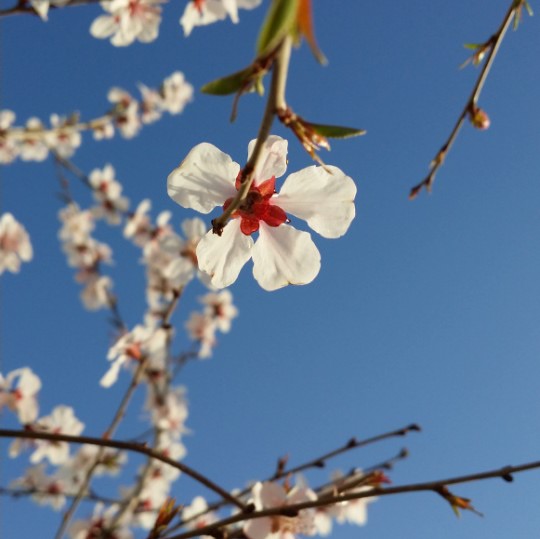 炊煙兒