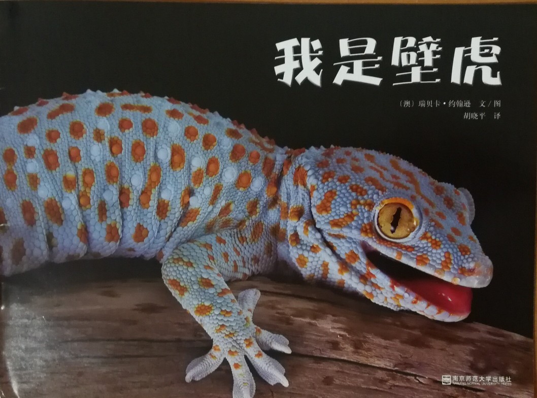 我是壁虎