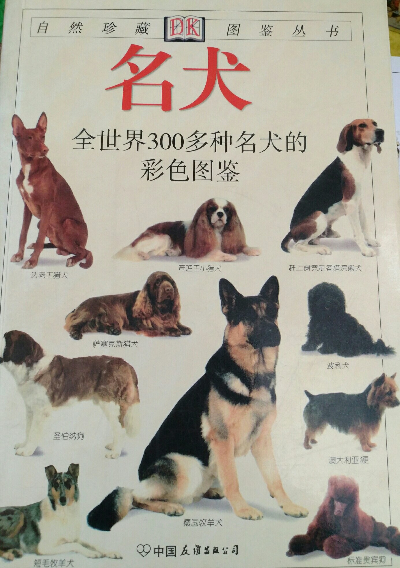 名犬