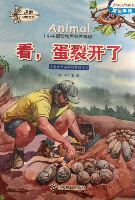 小牛頓動物百科大揭秘: 看, 蛋裂開了