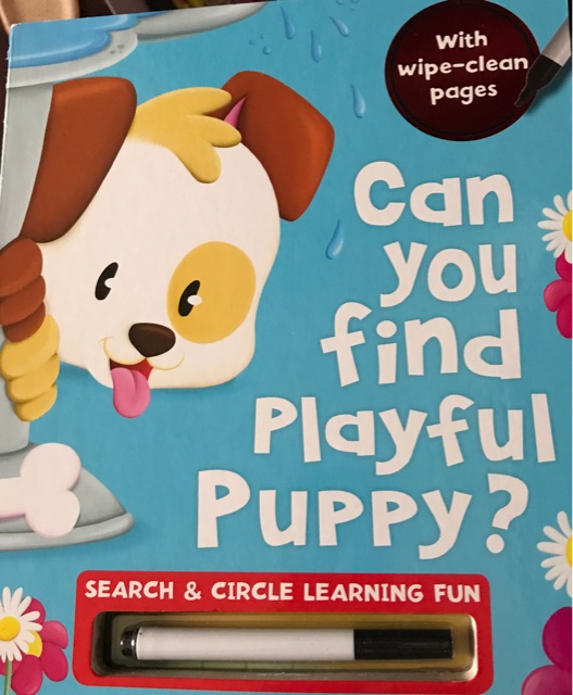 Can  you find playful puppy?