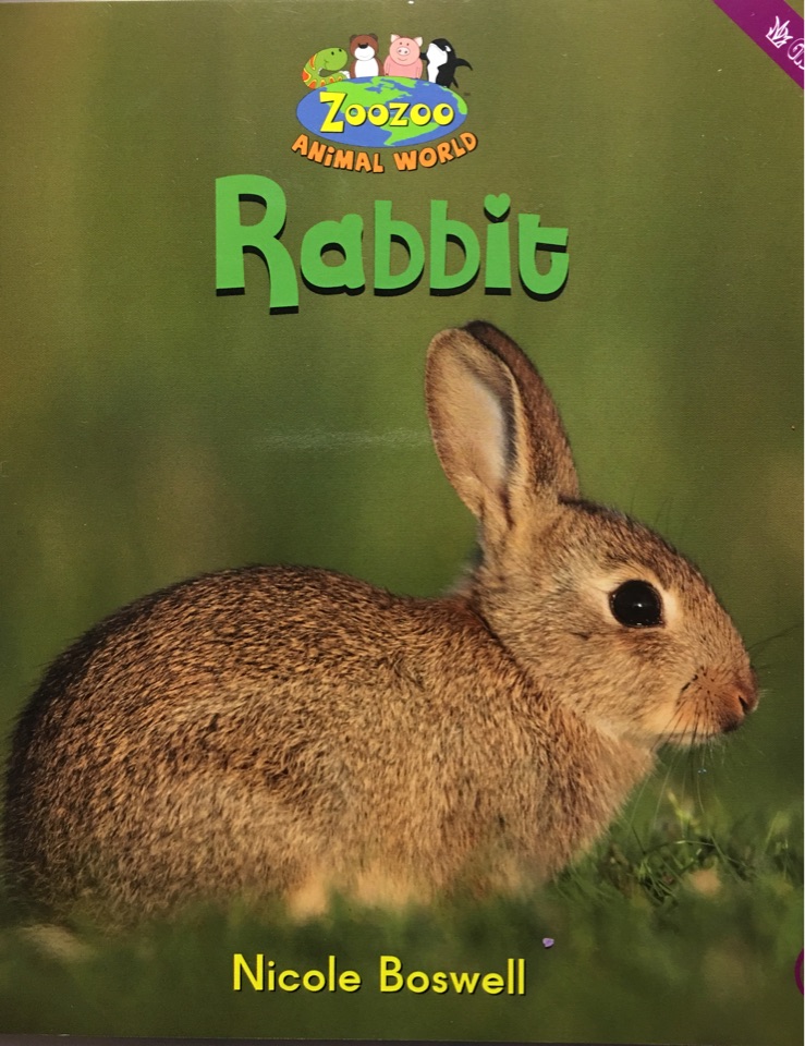 Rabbit-Animalworld