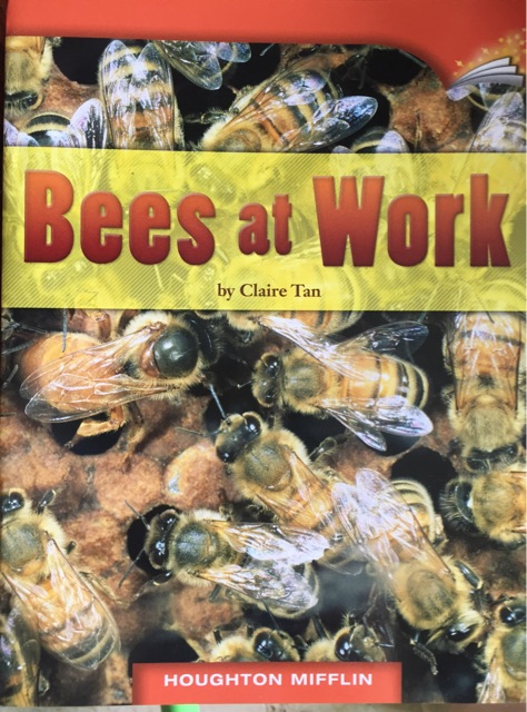 Bees at Work