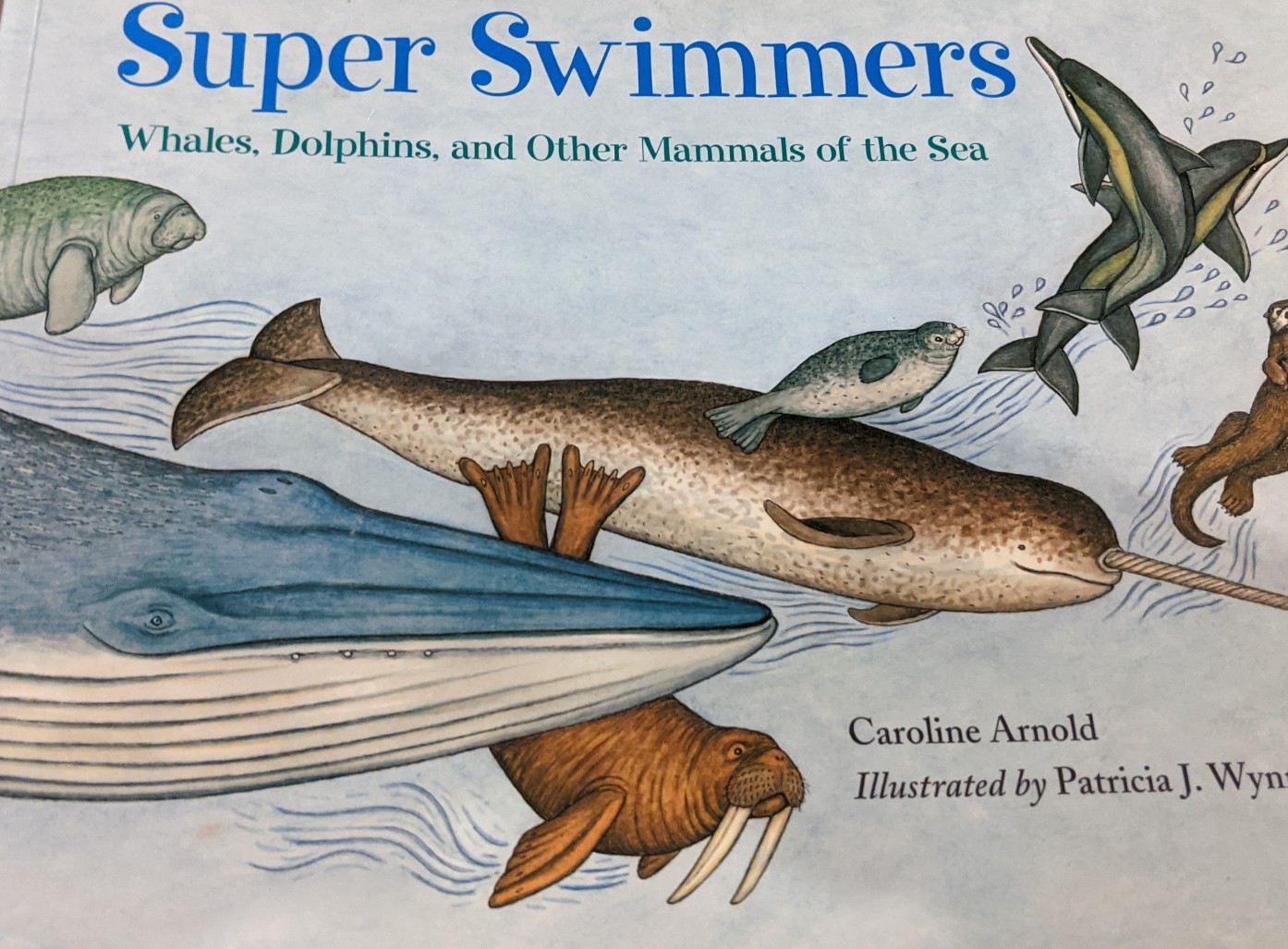 super swimmers