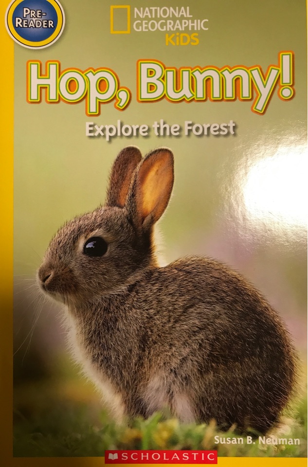 Hop, Bunny!