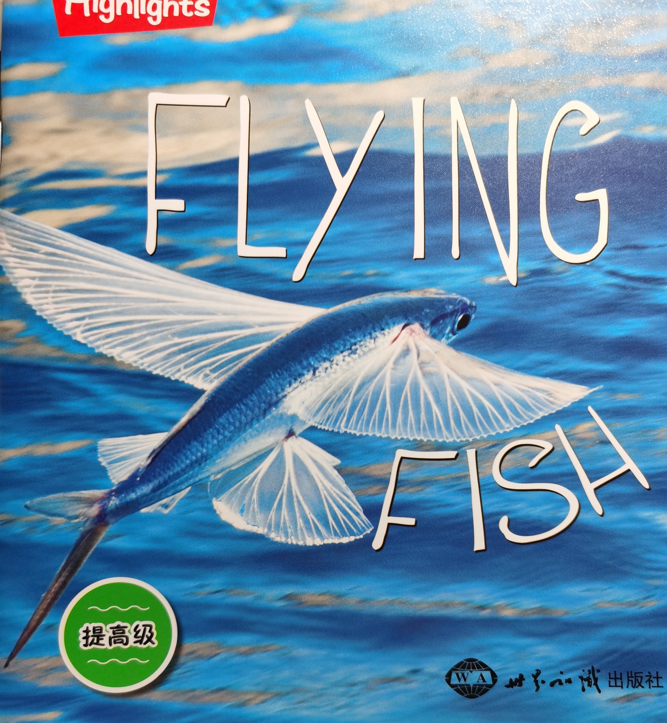 Flying Fish