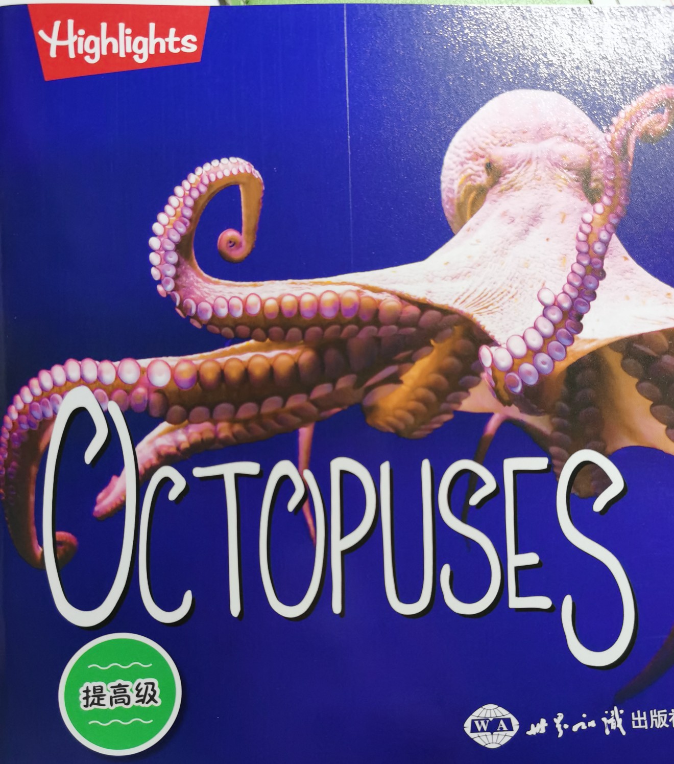 Octopuses