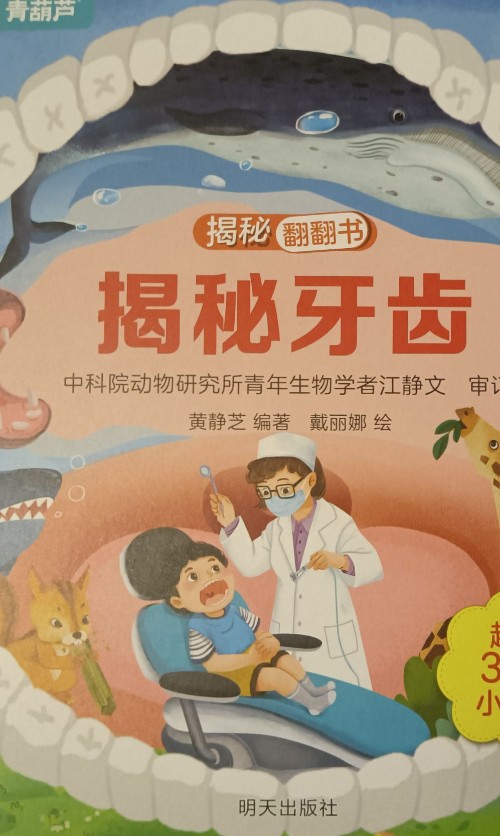 揭秘牙齒