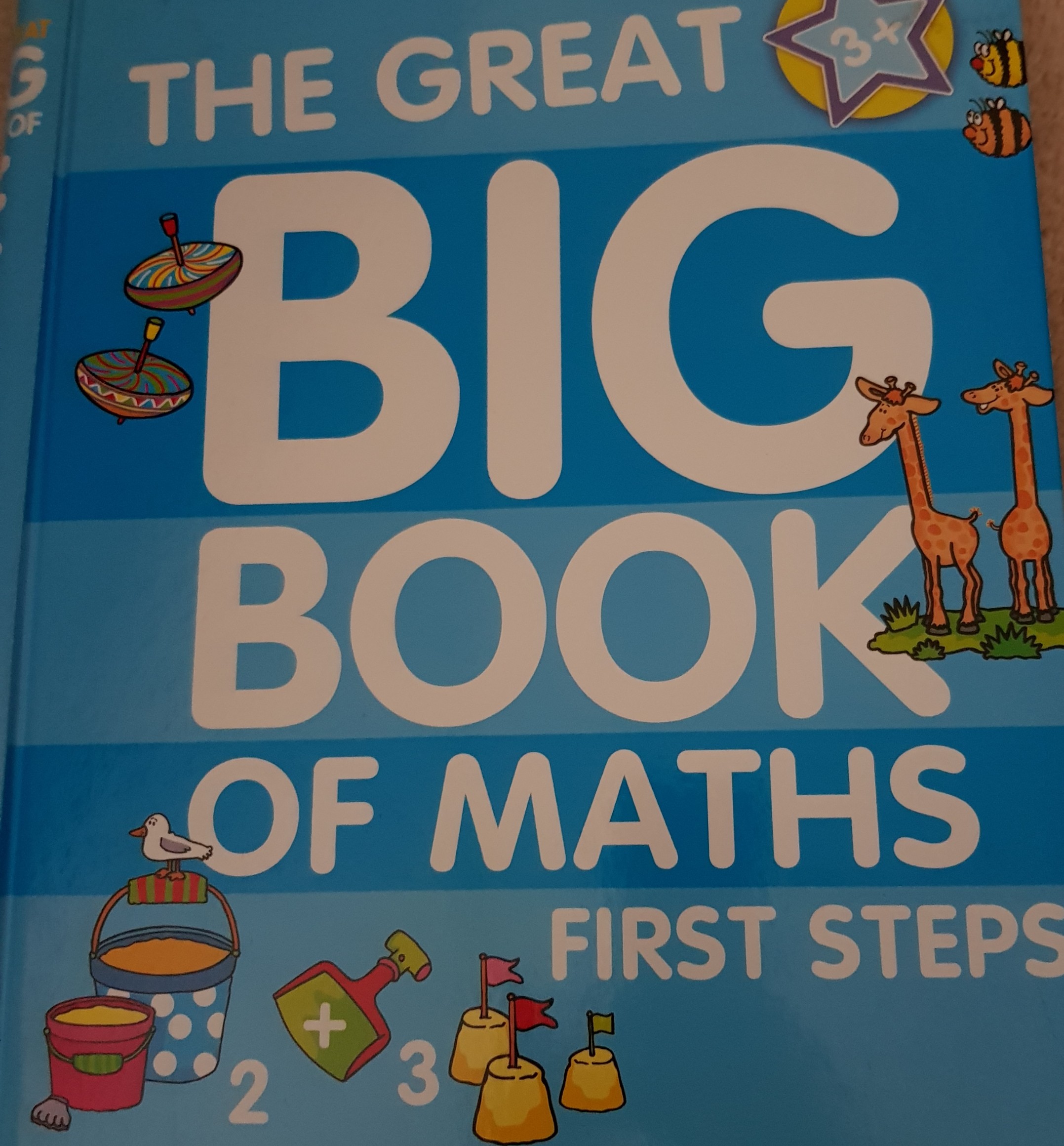 the great big bpok of maths