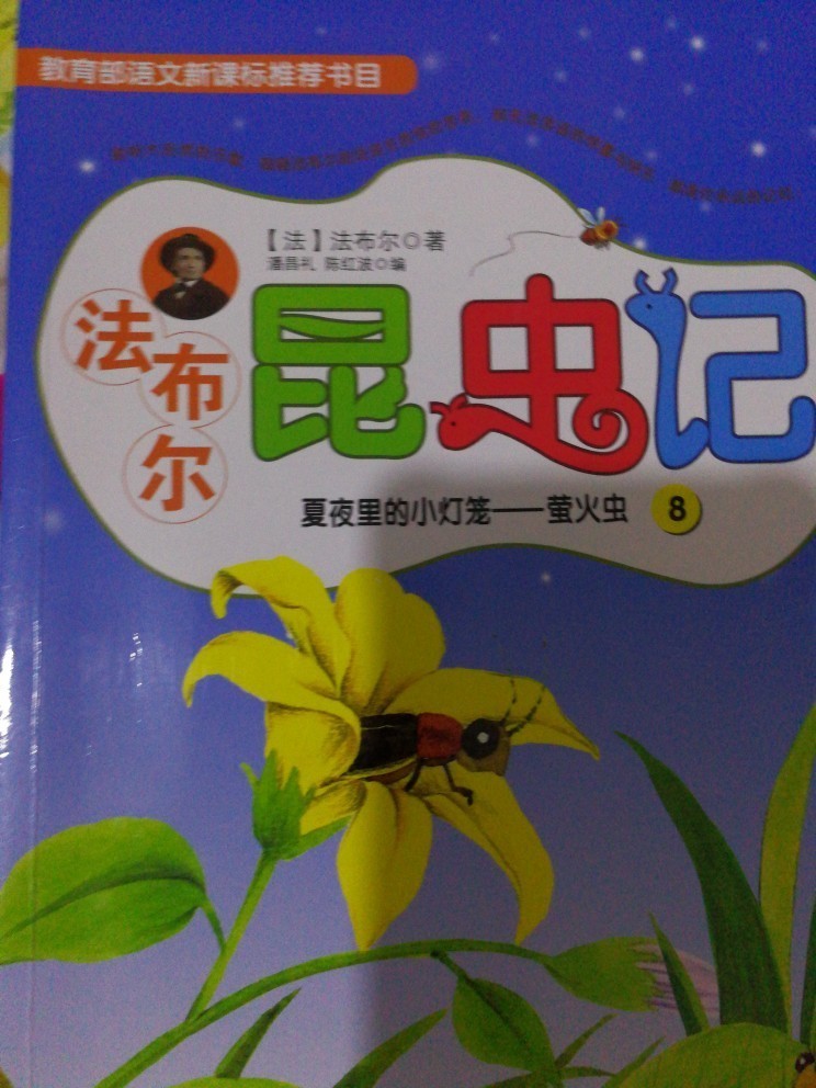 法布尔昆虫记中对萤火虫的描述-法布尔昆虫记系列-萤火虫-小花生