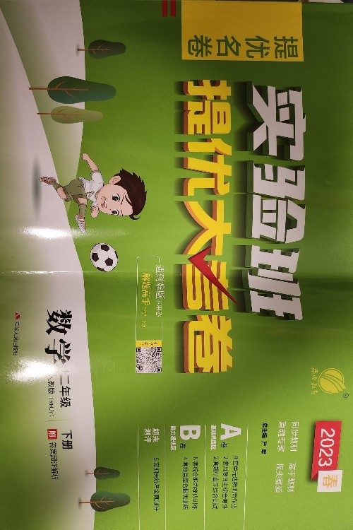 實驗班提優(yōu)大考卷: 數(shù)學(二年級下 RMJY)