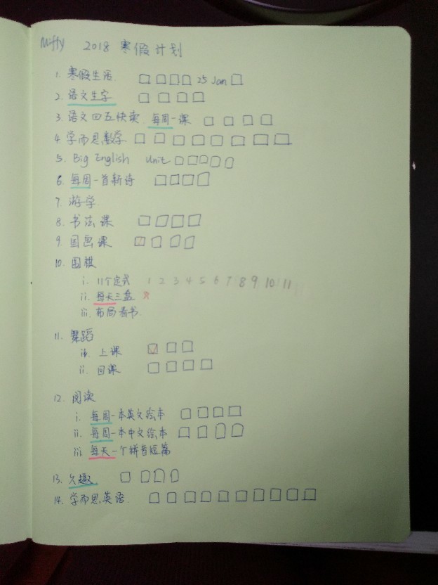 阿朵的2018寒假計(jì)