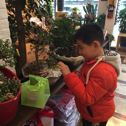 多多先森