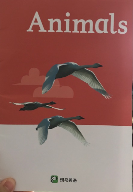 Animals