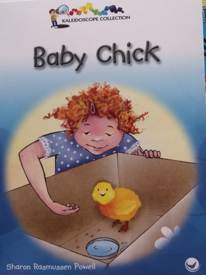 Baby Chick