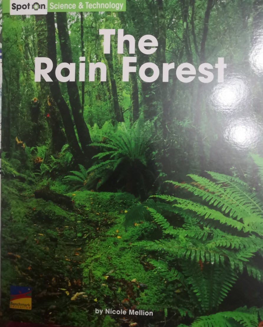 the rain forest