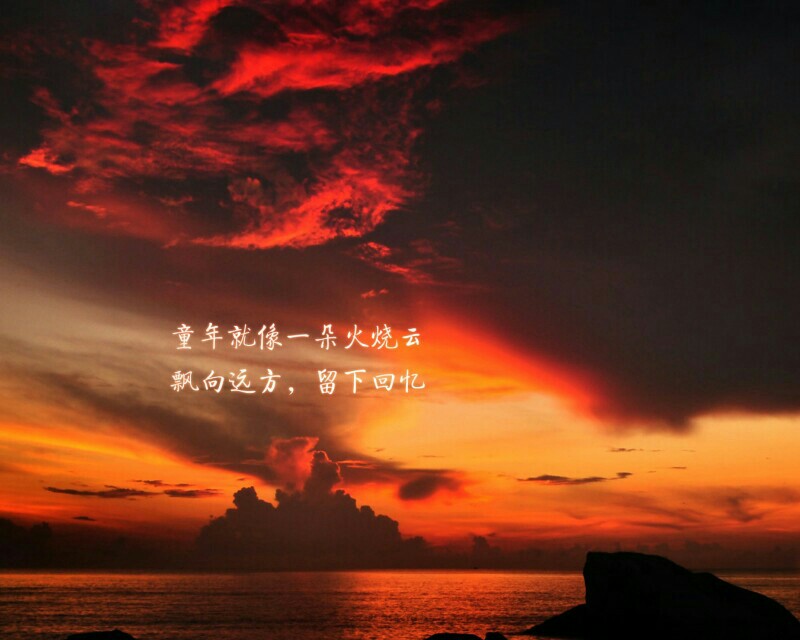 《野丫頭的美味童