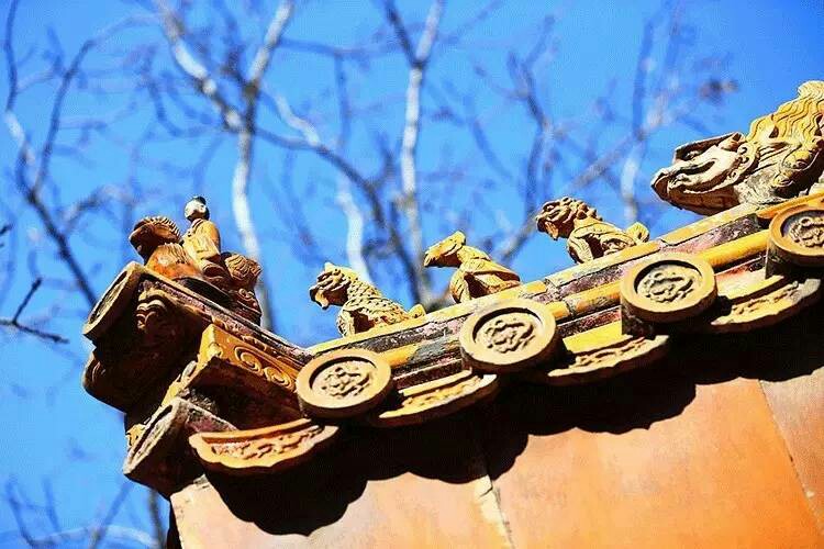 《故宮里的大怪獸
