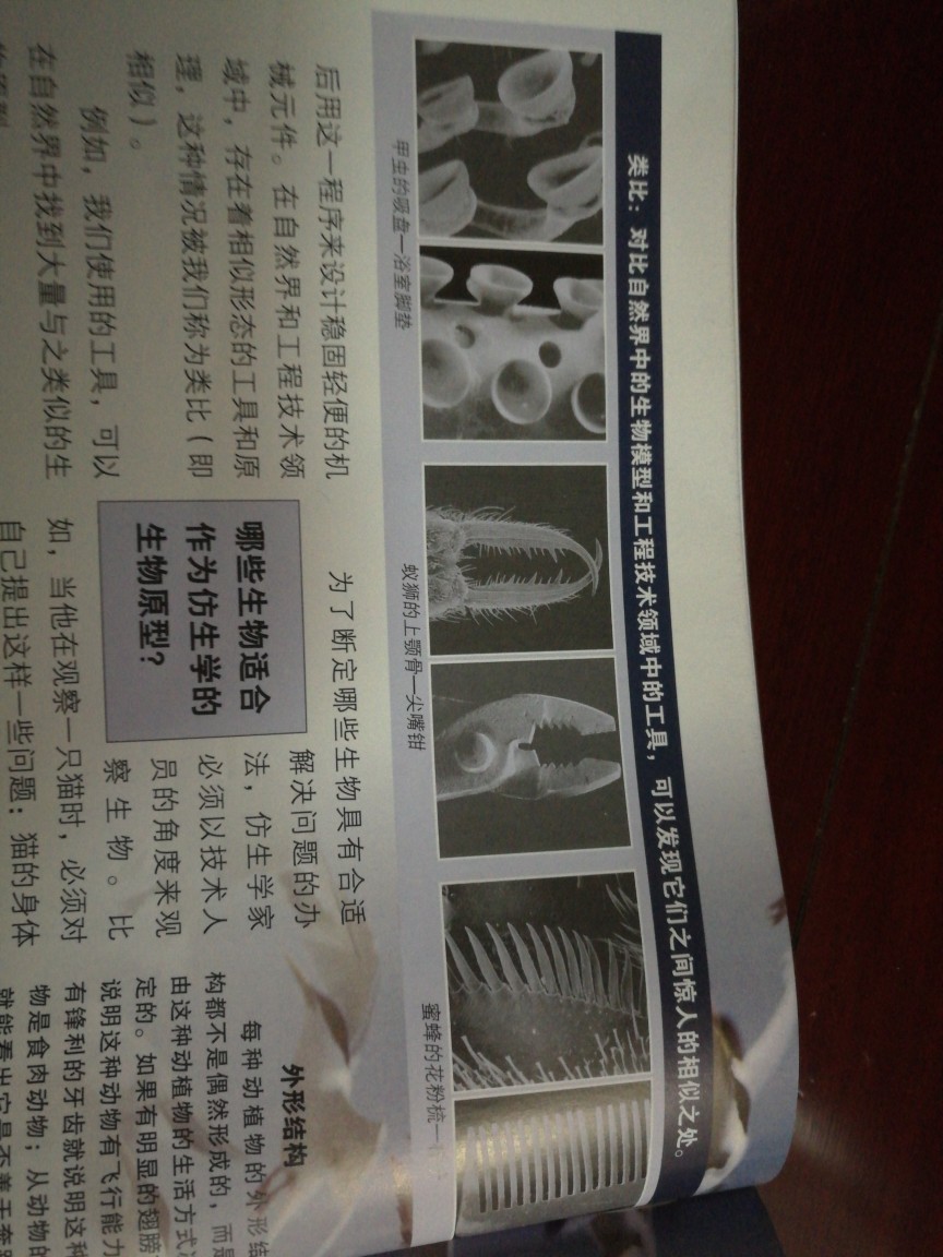 神奇的仿生學
