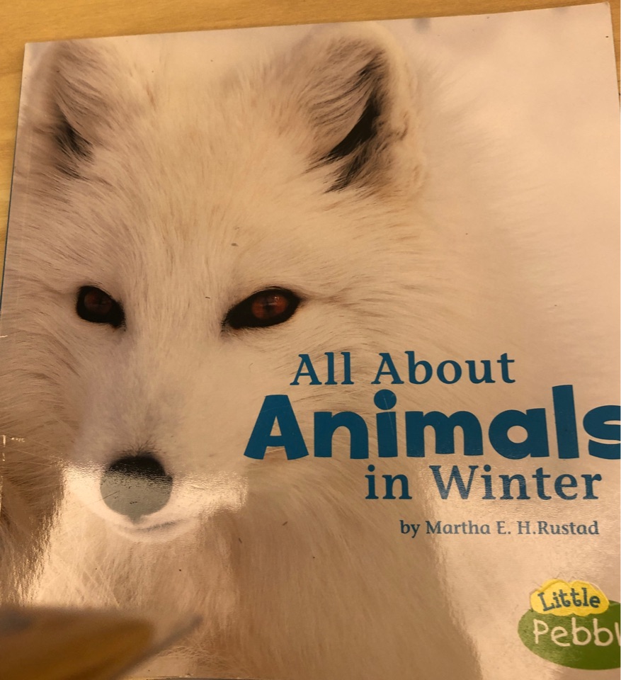 All About Animals in Winter