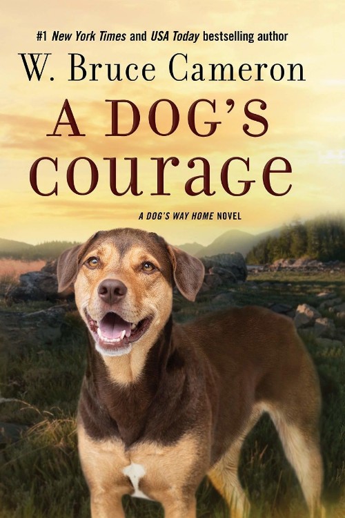 A dog's Courage