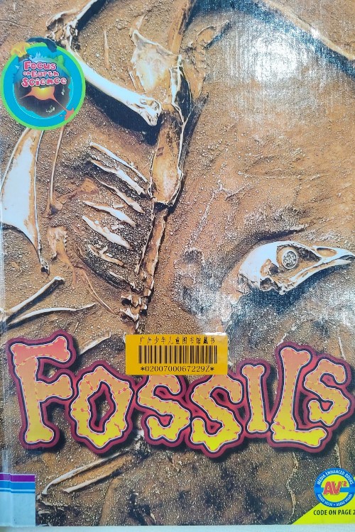 FOSSILS