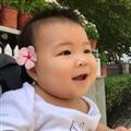 陶陶D