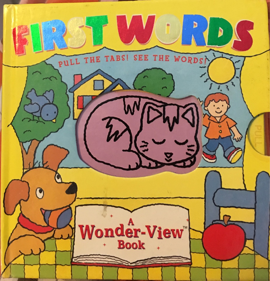 A Wonder-View Book: FIRST WORDS