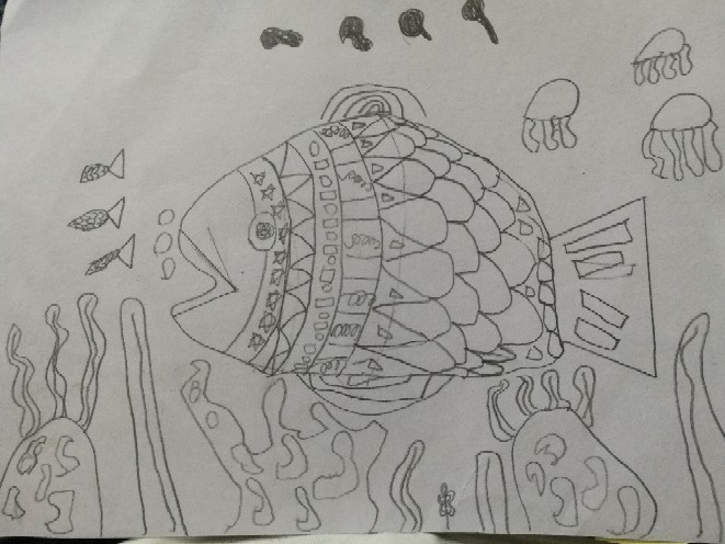 热带鱼