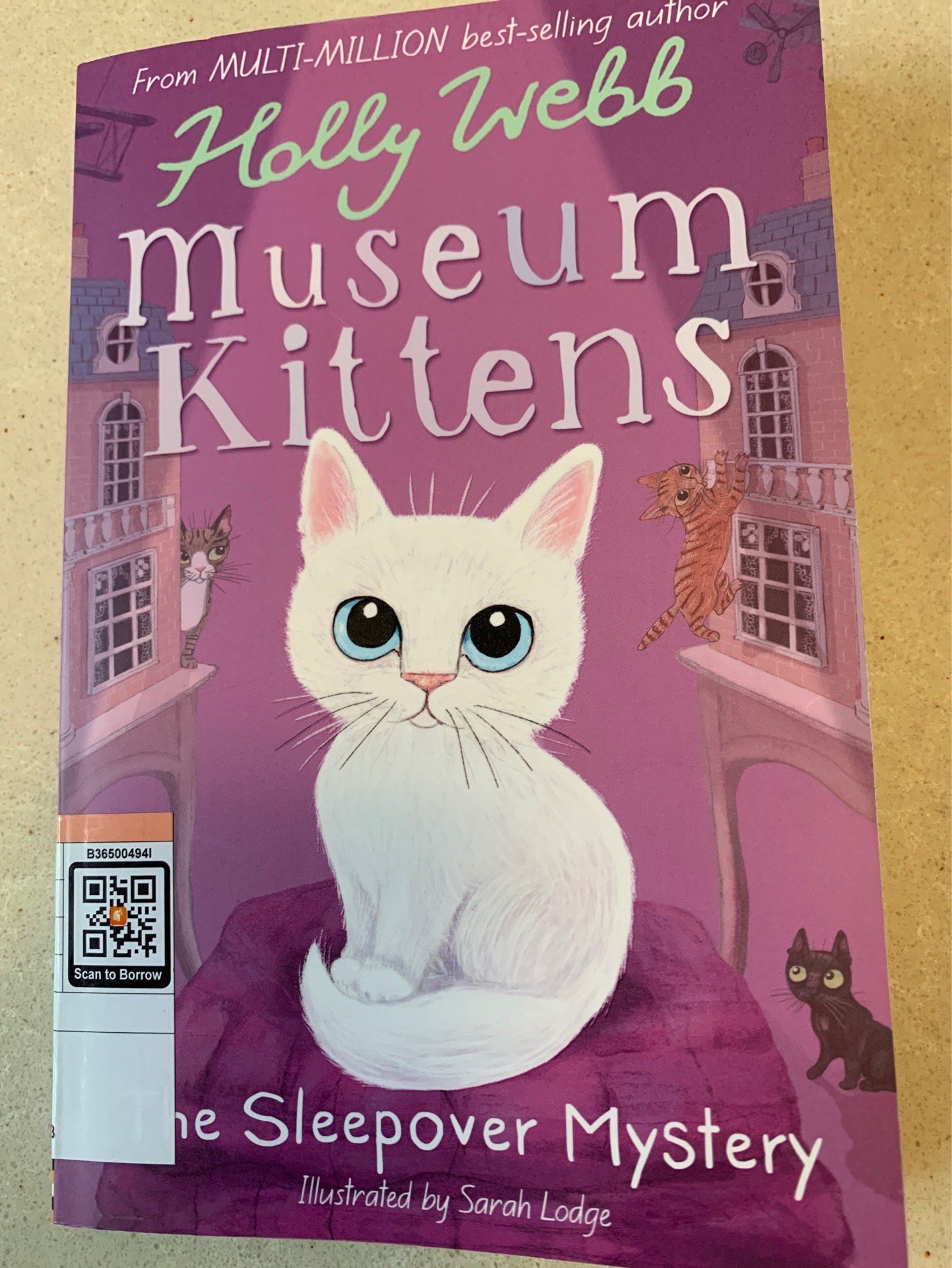 Museum Kittens: The sleepover Mystery