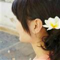 葉朵兒