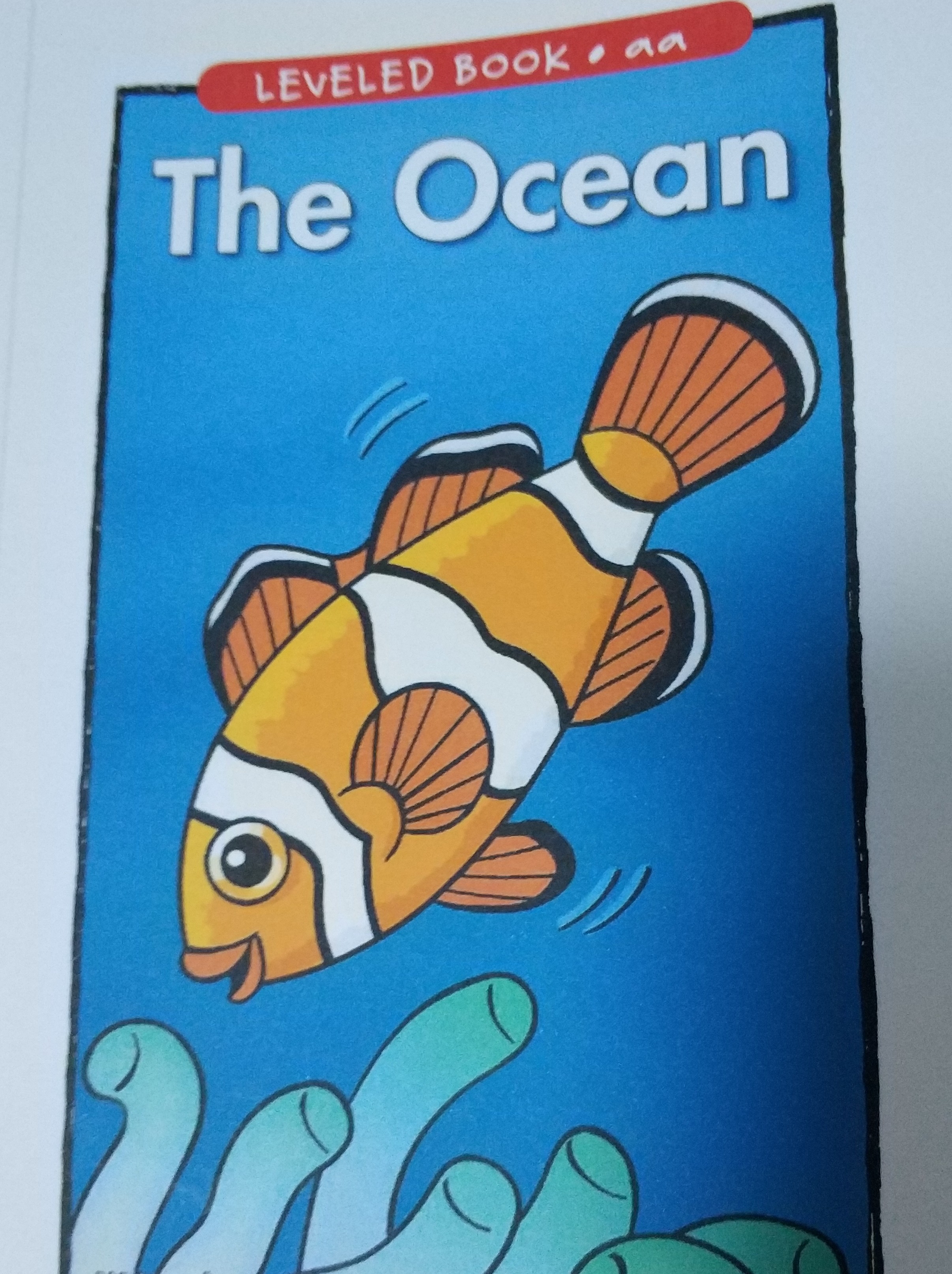 the ocean