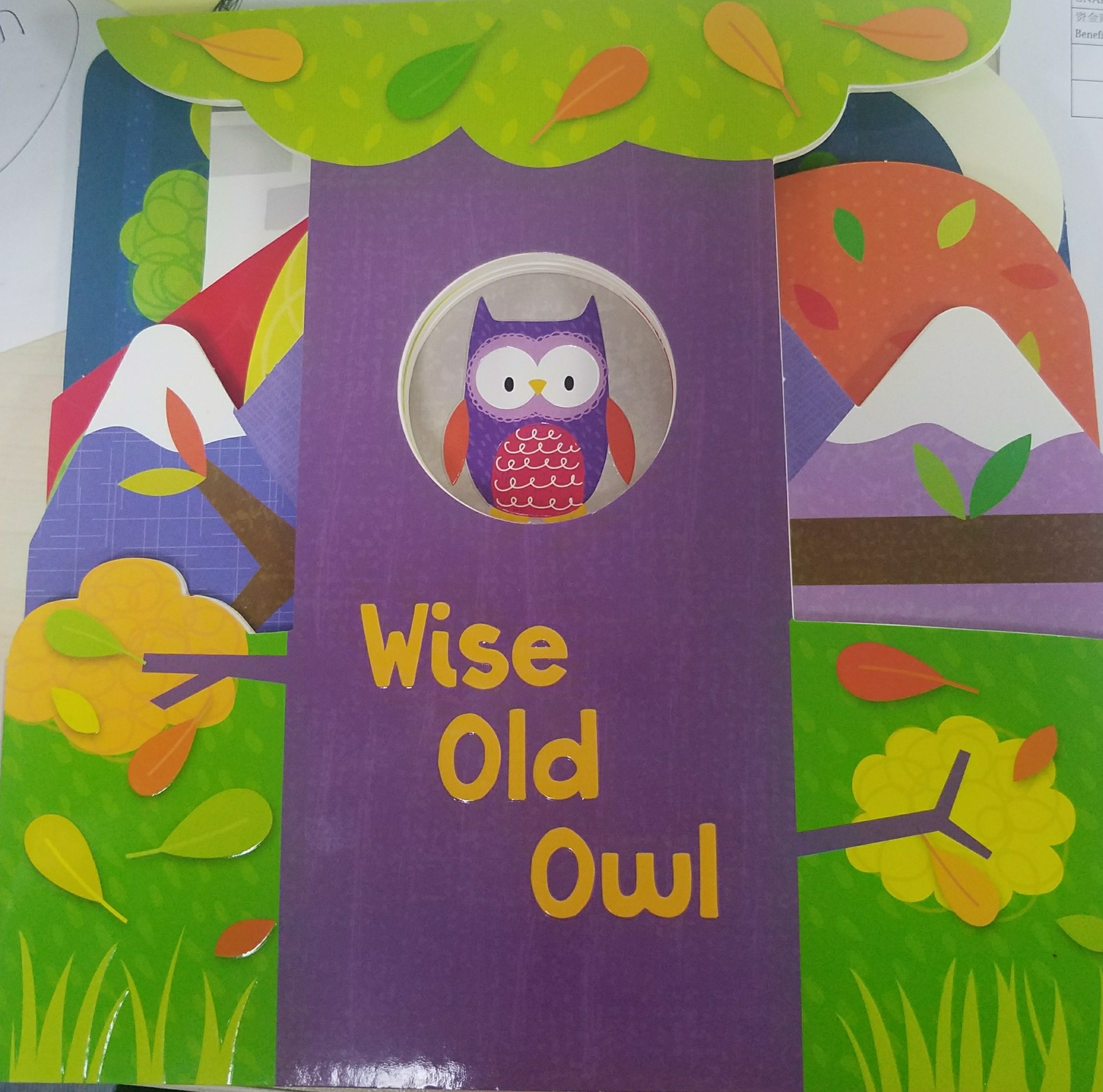 WISE OLD OWL