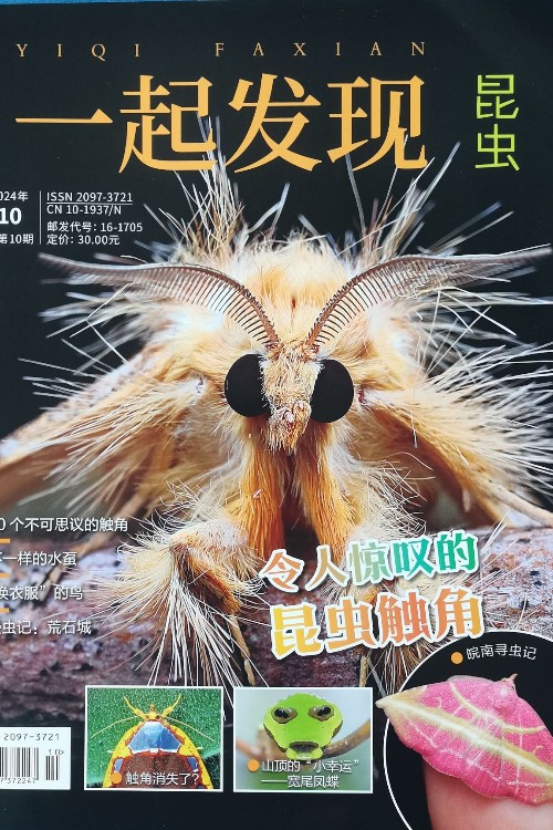 一起發(fā)現(xiàn)昆蟲(2024年10月號(hào))