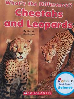 Cheetahs and Leopards (Rookie Read-About Science: What's the Difference?)