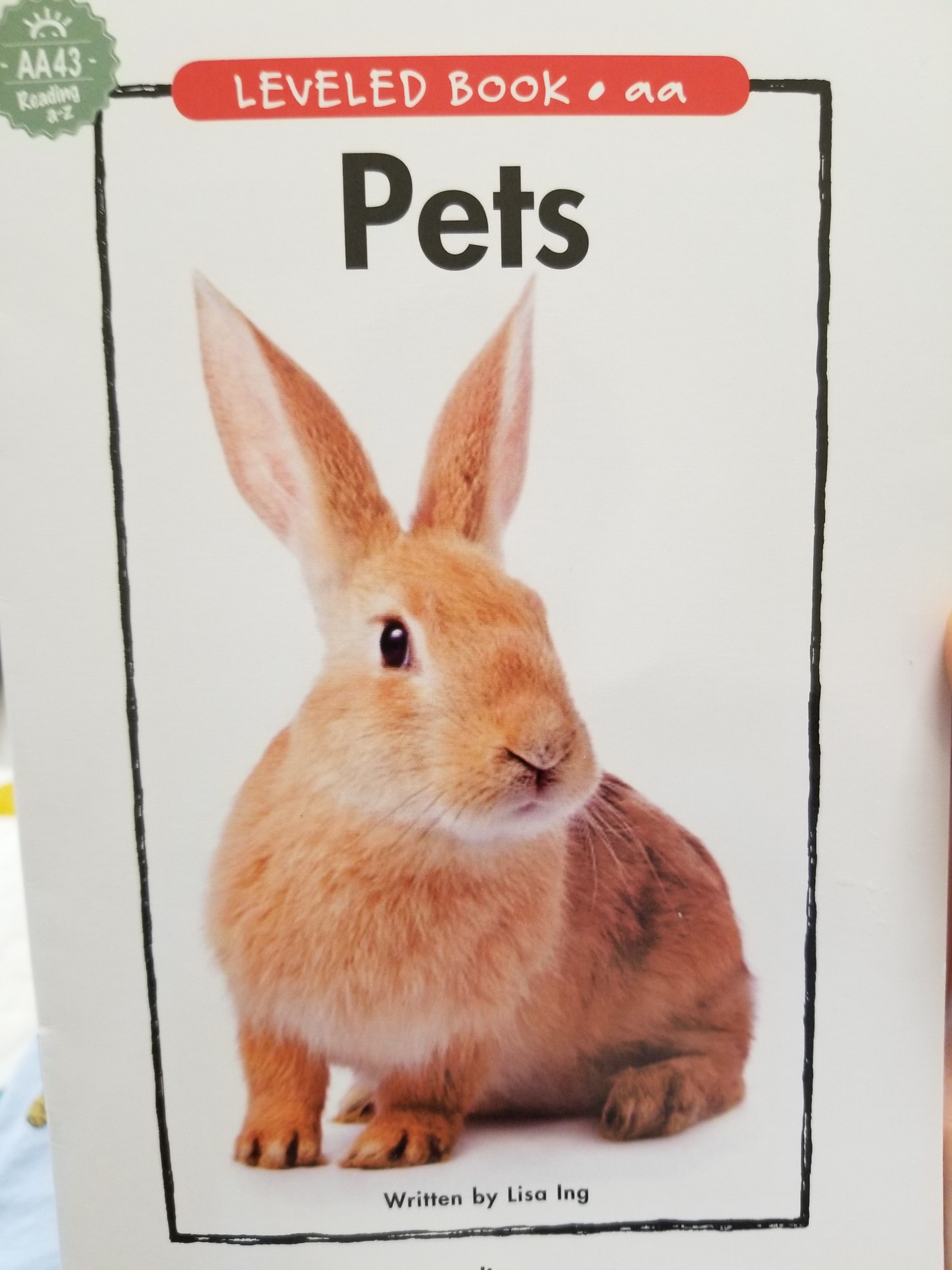 pets