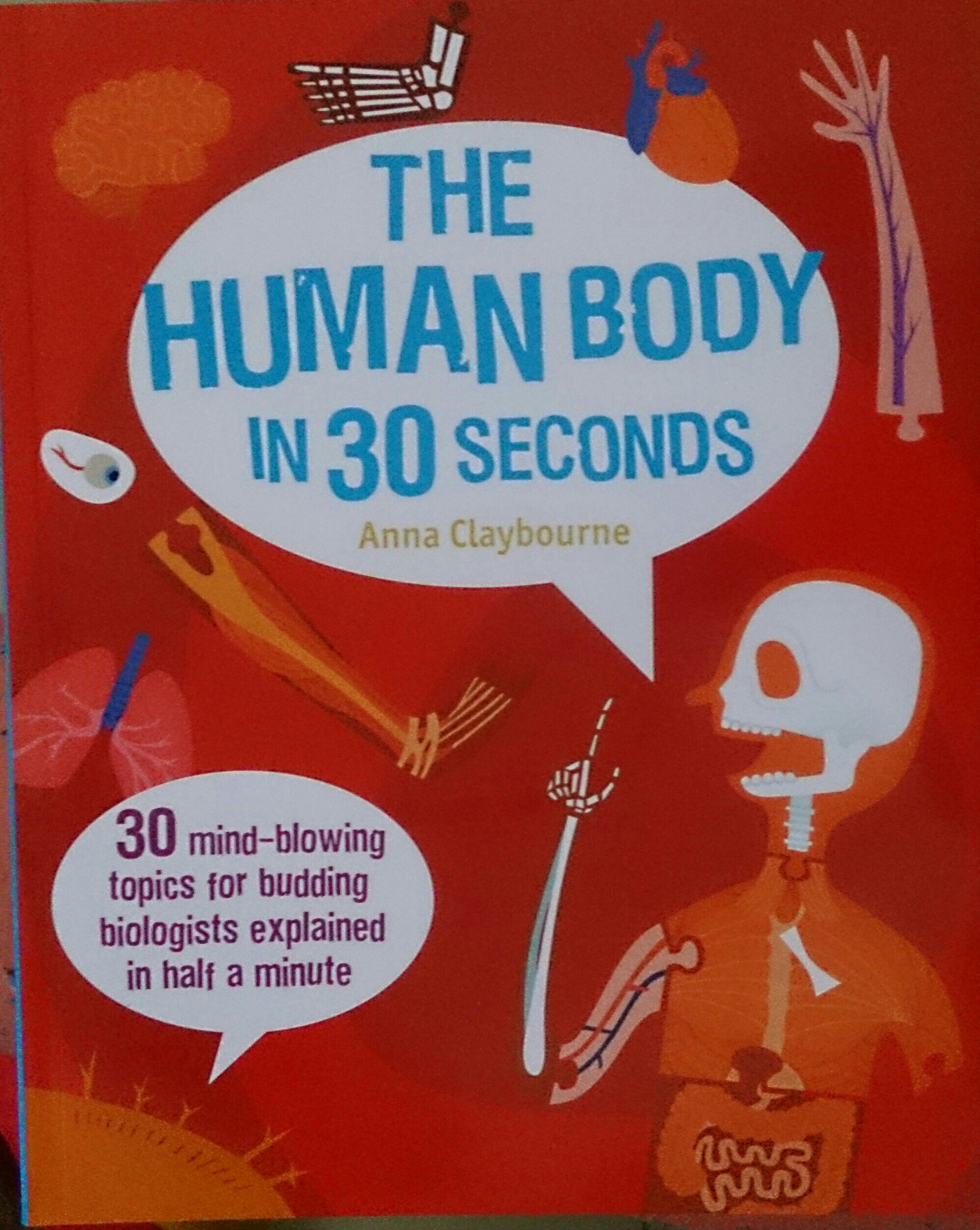 the human body in 30 seconds