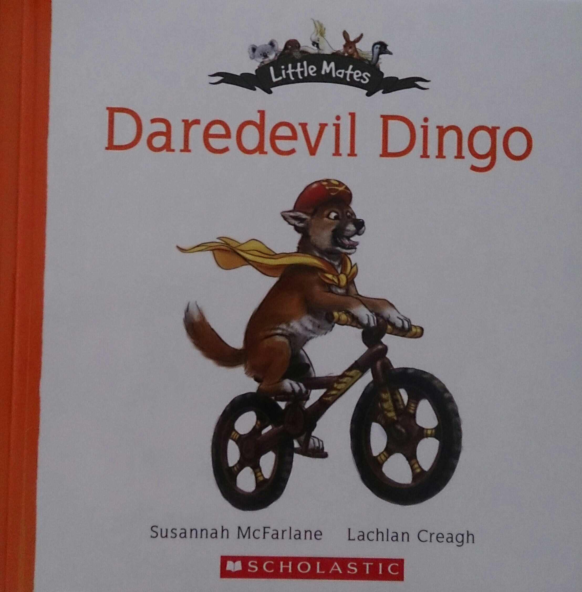 daredevil dingo