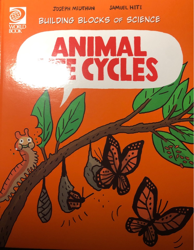 animal life cycles