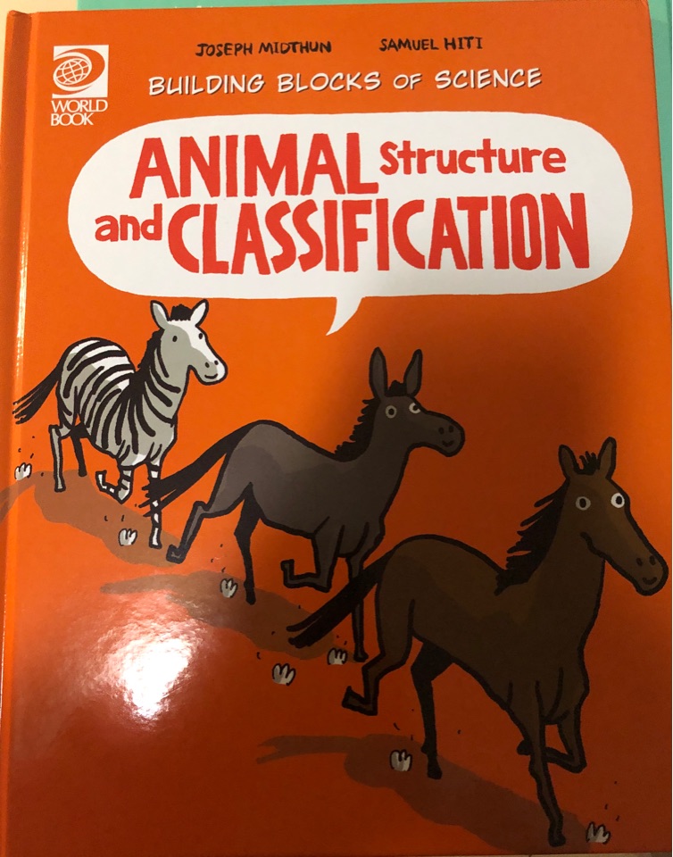 animal structure and classification