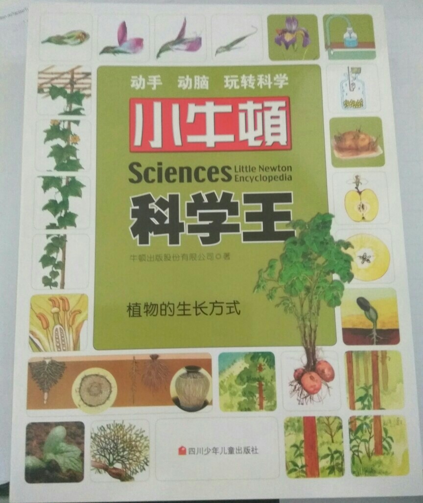 小牛頓科學(xué)王——植物的生長方式