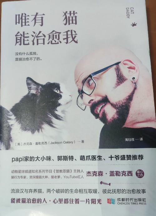 唯有貓能治愈我