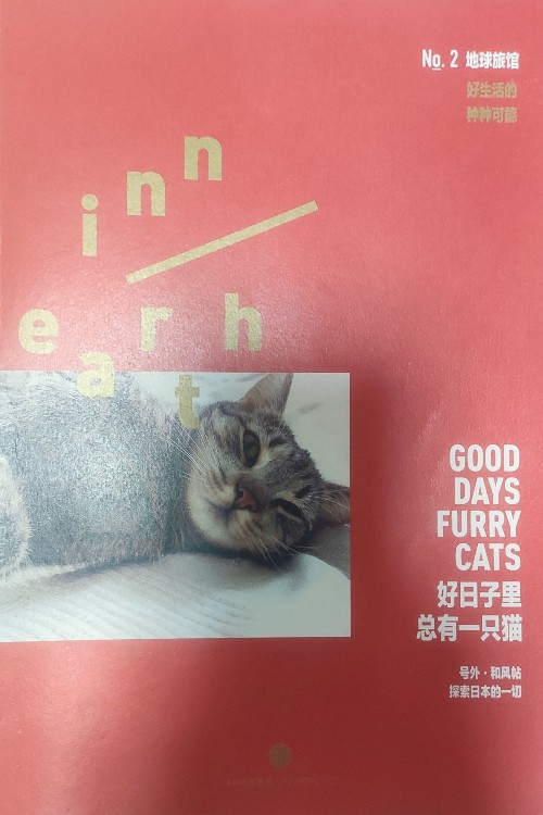 好日子里總有一只貓