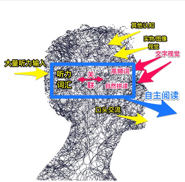 識(shí)字啟蒙對比