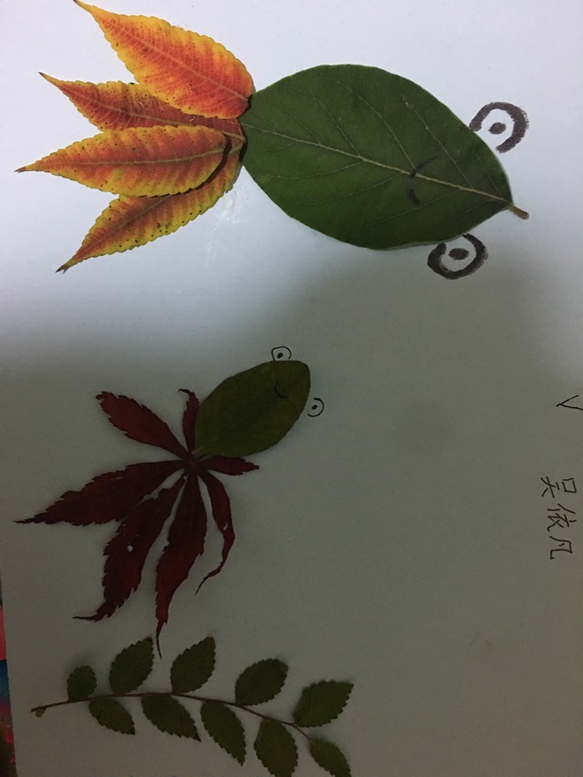 10月9日打卡，十
