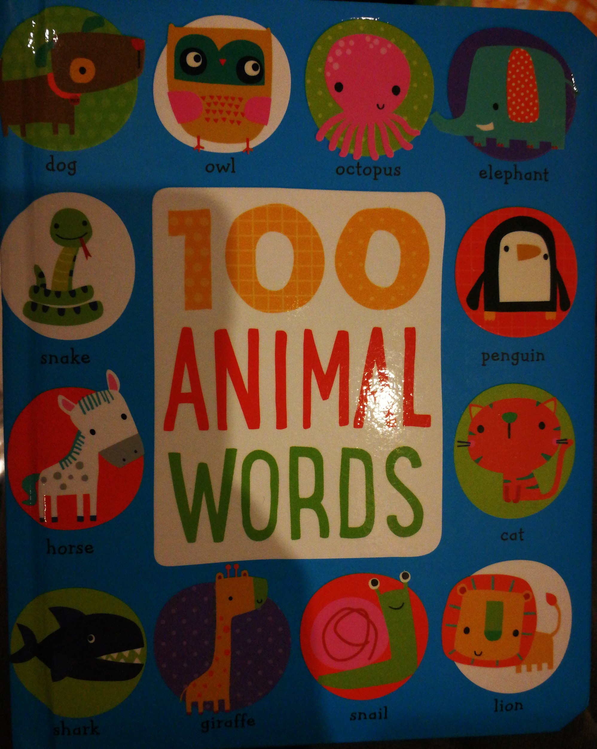 100animal words